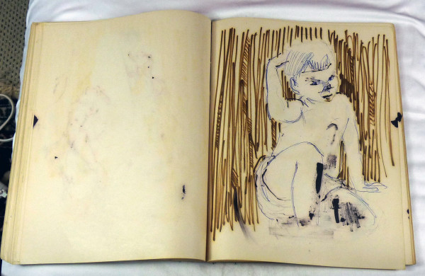 Page 87 & 88, from "Journal #1" by Roy Hocking