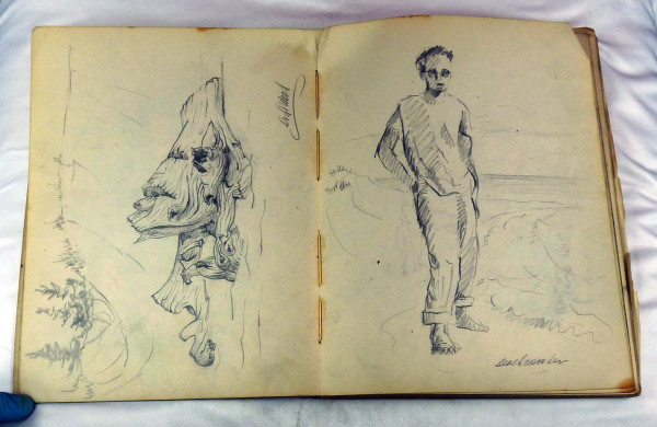 Page 15 & 16, from "Journal #2" by Roy Hocking