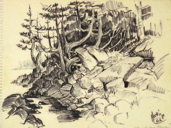 Shore Cedars - Ft. Wilkins, from "July Summer 1962 Sketch Pad" by Roy Hocking