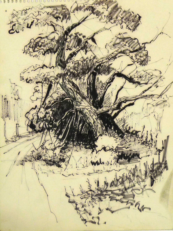 Untitled #4168, from "Fall 1962 Oct 1963 Summer Sketch Pad" by Roy Hocking