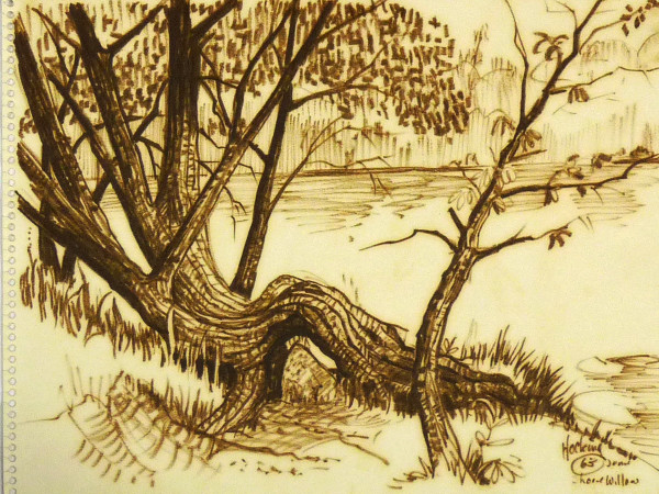 Shore Willow, from "Fall 1962 Oct 1963 Summer Sketch Pad" by Roy Hocking