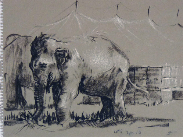 Lotti 3 yrs old, from "Summer '64 - 65 through '75 Sketch Pad" by Roy Hocking