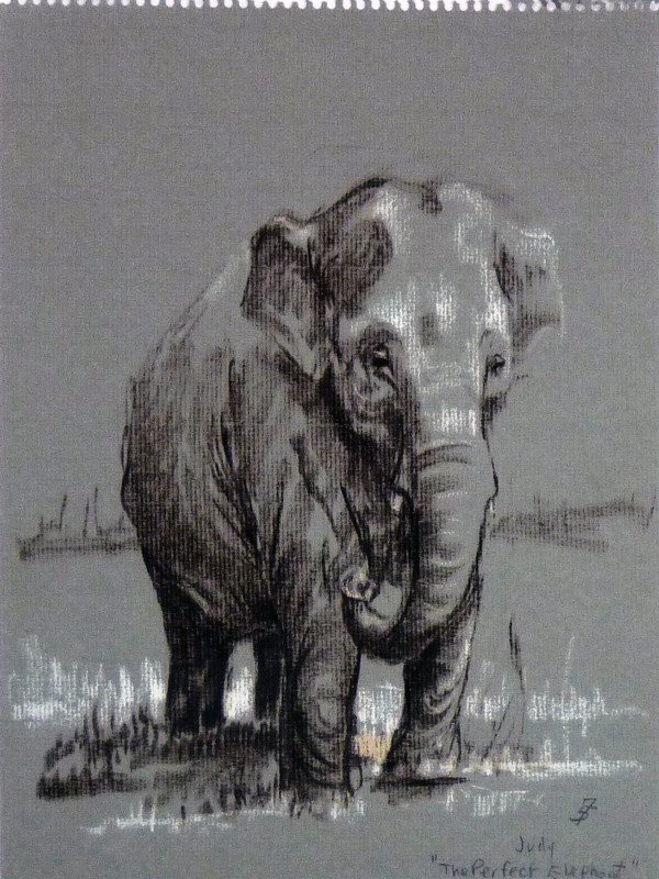 Judy, The Perfect Elephant, from "Summer '64 - '65 through '75 Sketch Pad" by Roy Hocking
