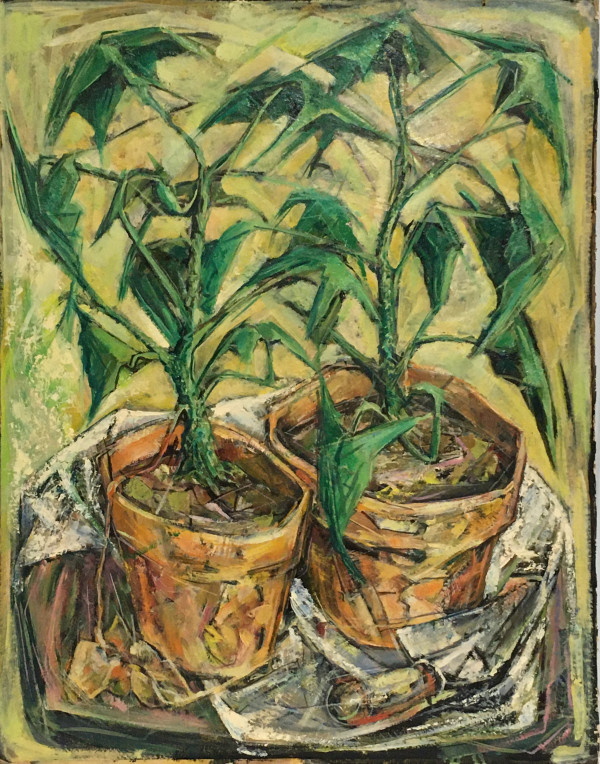 Philodendron by Roy Hocking