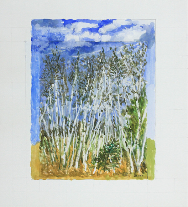 Birch Grove by Dean Vallas