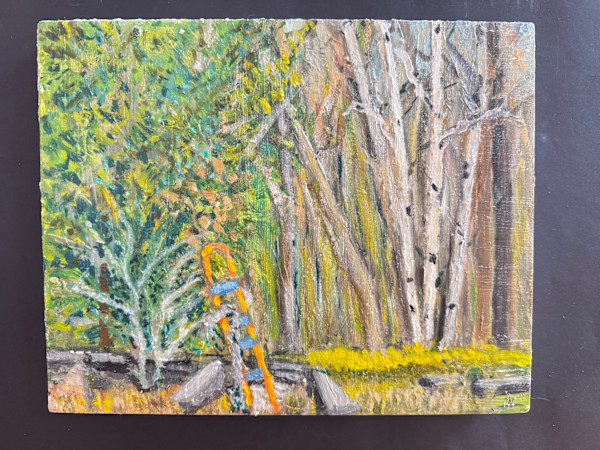 Birches by Dean Vallas, Image 9.