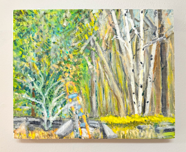 Birches by Dean Vallas