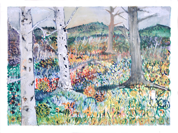Untitled Landscape #36 by Dean Vallas, Image 1.