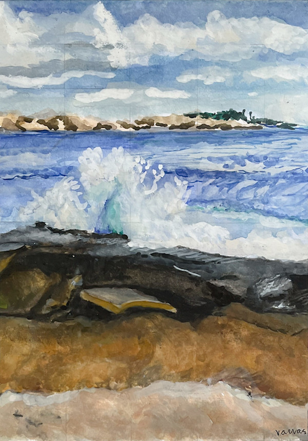 Schoodhic Peninsula by Dean Vallas