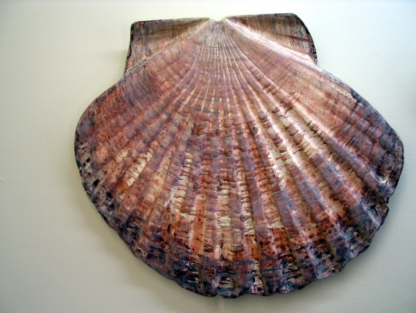Shell - carved sculpture . 008 by Liz McAuliffe