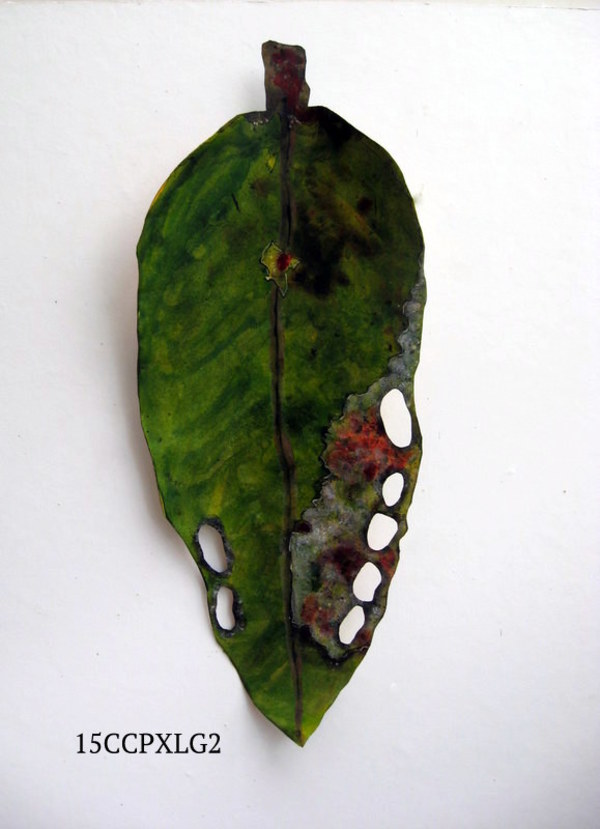 Pohutukawa Leaf . 093 by Liz McAuliffe
