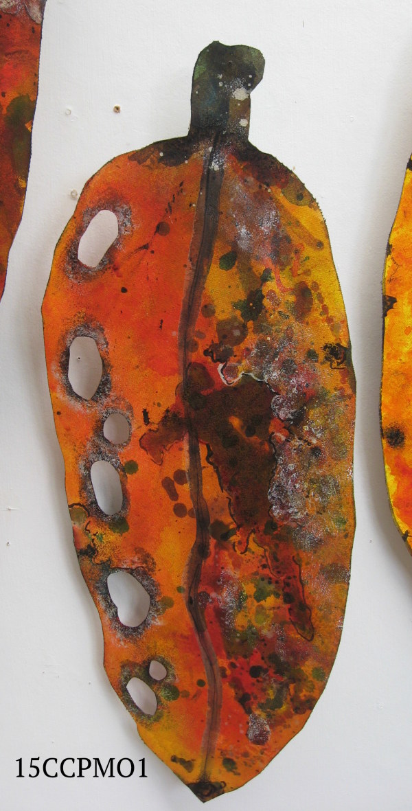 Pohutukawa Leaf . 096 by Liz McAuliffe