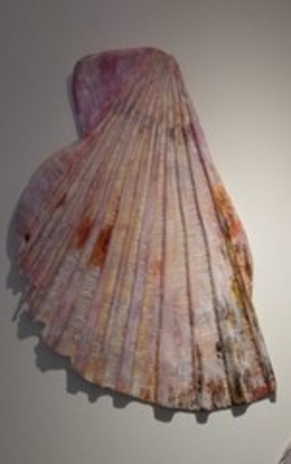 Broken Scallop Shell . Lge .. (16110) by Liz McAuliffe