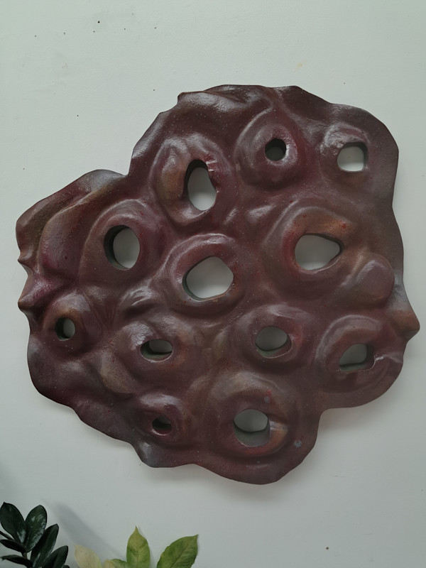 Lotus Transverse Section 037 by Liz McAuliffe