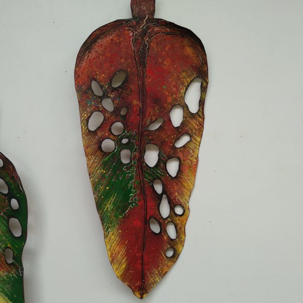 Pohutukawa Leaf . . (17178) by Liz McAuliffe