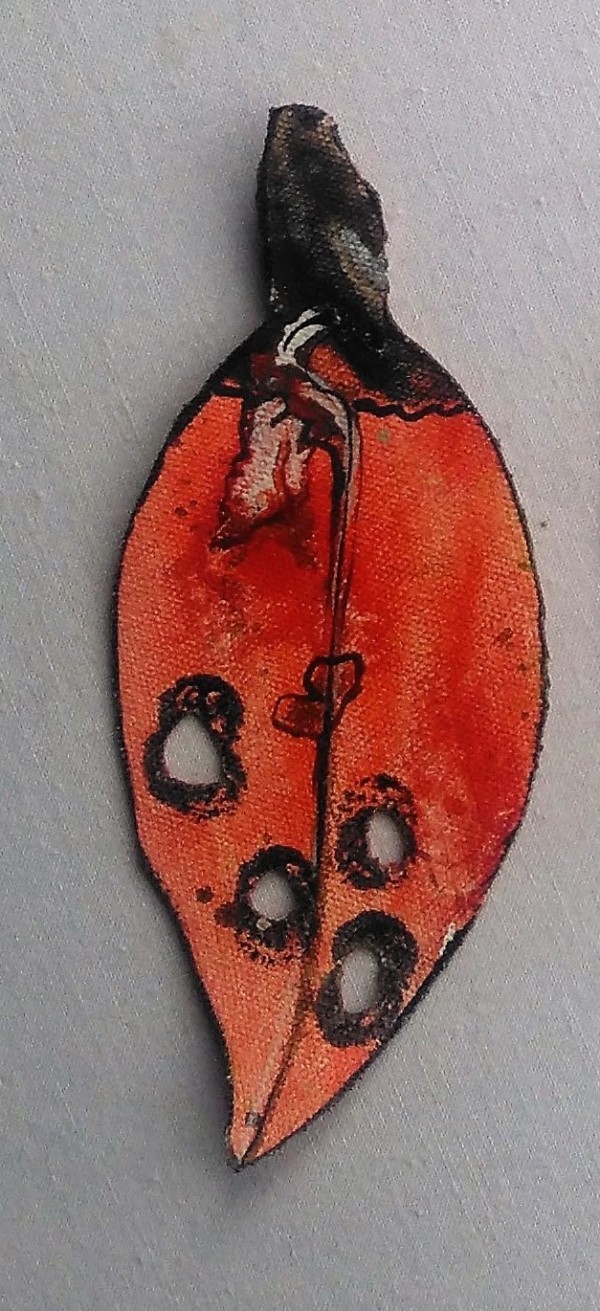 Pohutukawa Leaf .  398 by Liz McAuliffe
