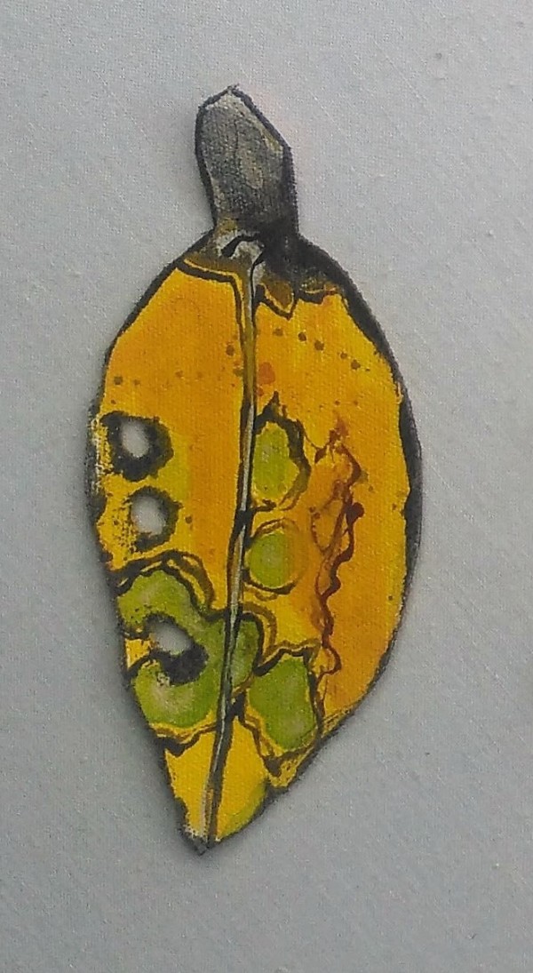 Pohutukawa Leaf . . (17407) by Liz McAuliffe