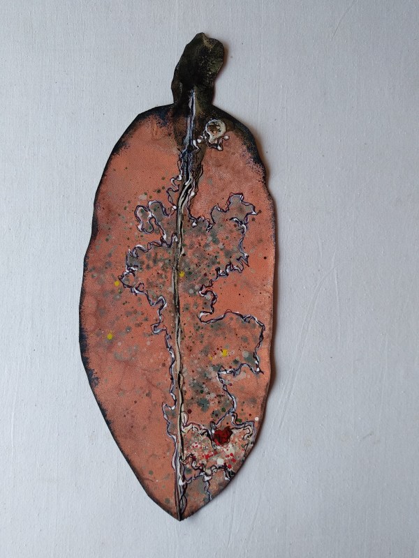 Medium Pohutukawa Leaf . . (18356) by Liz McAuliffe