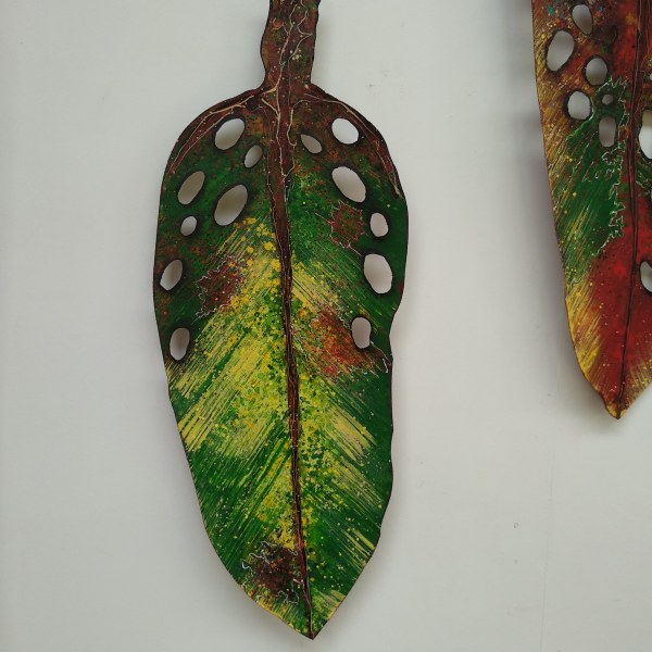 Pohutukawa Leaf . . (18501) by Liz McAuliffe