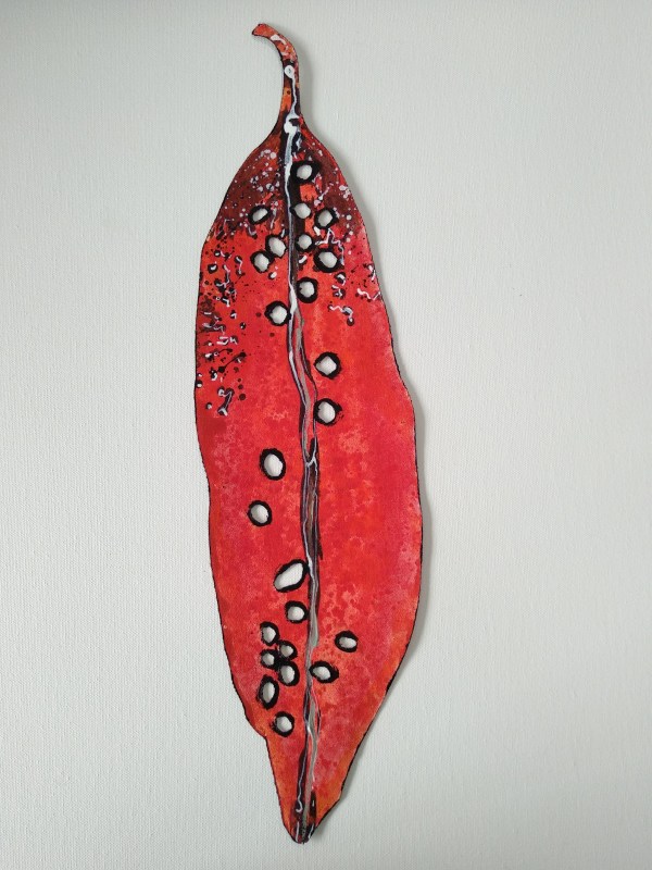 Medium Pohutukawa Leaf . . (21623) by Liz McAuliffe
