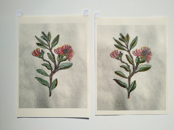 Hand Coloured Prints - Pohutukawa 1 & 2  .. 24213-24214 by Liz McAuliffe