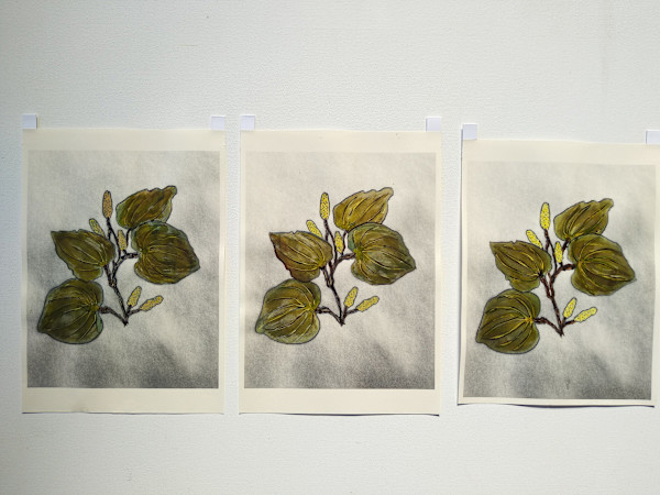 Hand Coloured Prints - Kawakawa 1 - 3  .. 24215-24217 by Liz McAuliffe
