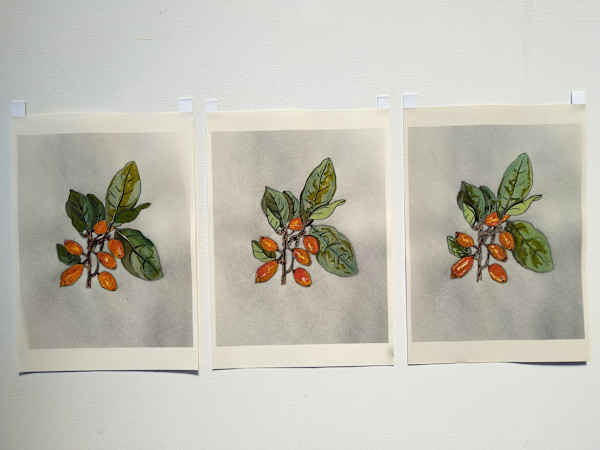 Hand Coloured Prints - Karaka 1 - 3  .. 24221-24223 by Liz McAuliffe