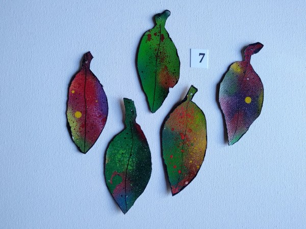 Spray Drift Set 7. .. ( 24118- 24122) by Liz McAuliffe