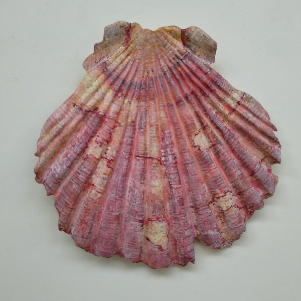 Shell - carved sculpture commission.. (22325) by Liz McAuliffe