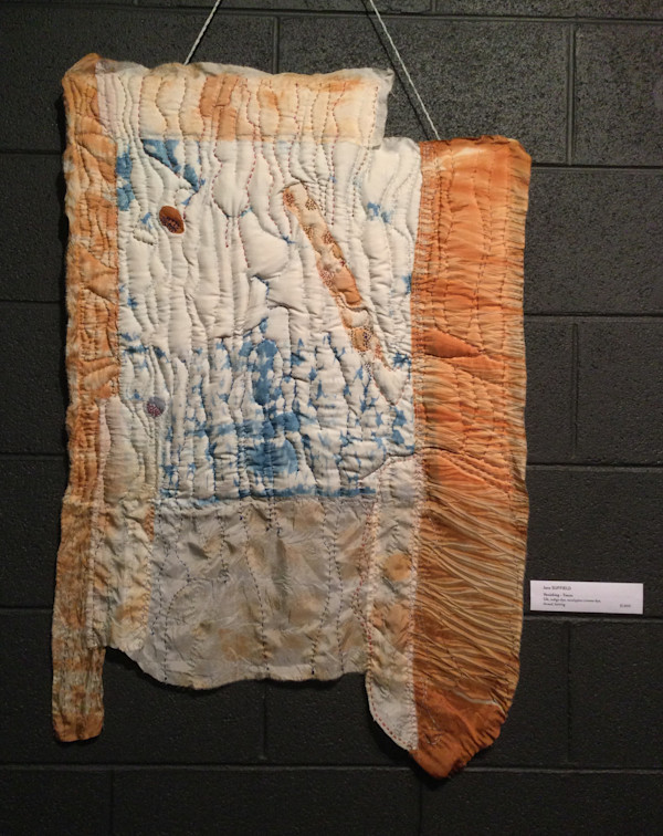 Vanishing: Traces by Jane Suffield, Image 3.