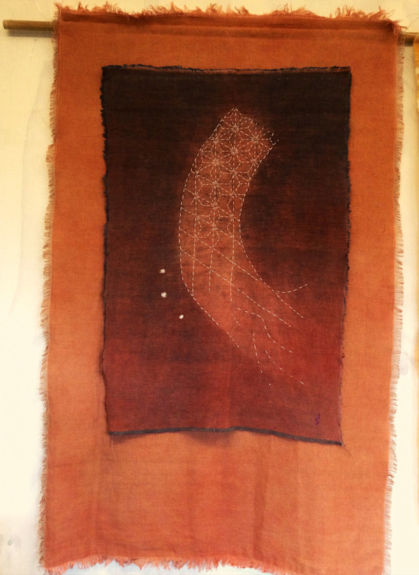 Vanishing - Threads of Resilience by Jane Suffield