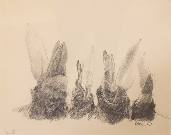 Jan 28 by Elizabeth "Betty" Strand