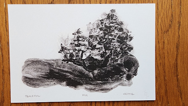 Peaceful by Annette DuBord