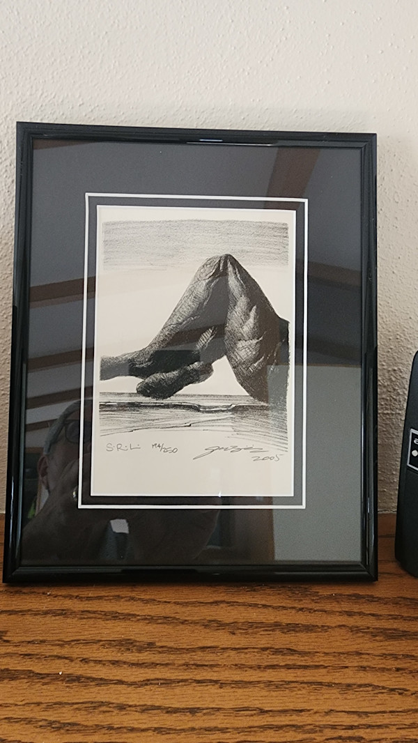 Sleeping Rock Leg by Zhimin Guan, John Volk