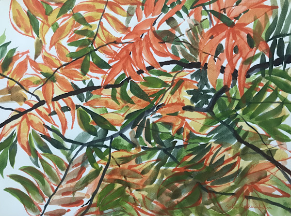 Autumn Sumacs by John C. Menihan