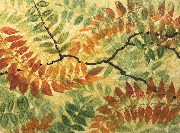 Fall Sumac Leaves by John C. Menihan