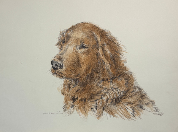 Golden Portrait by John C. Menihan