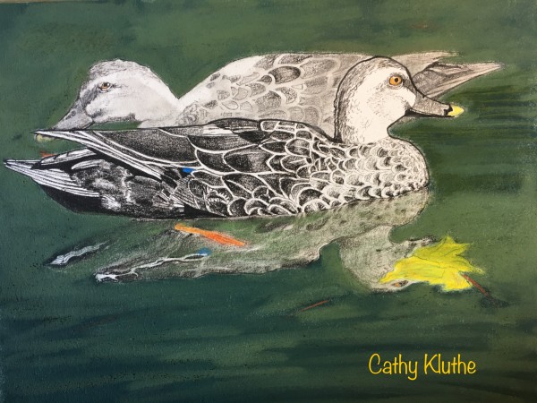 DUCKS by CATHY KLUTHE