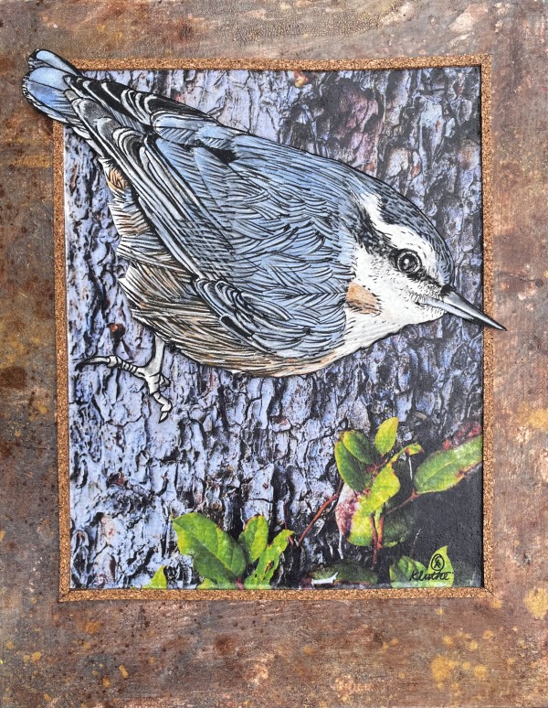 RED BREASTED NUTHATCH by CATHY KLUTHE