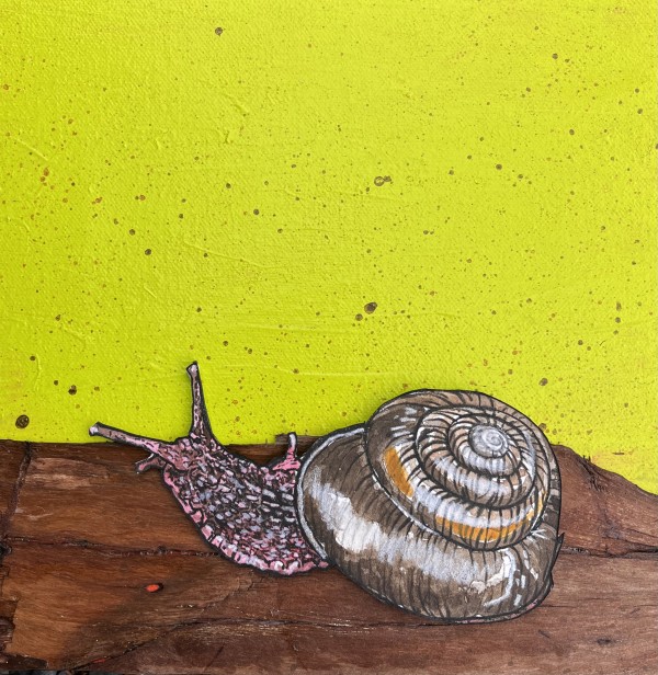SIDEBAND SNAIL by CATHY KLUTHE