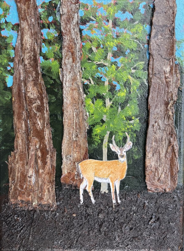 DEER IN THE FOREST by CATHY KLUTHE