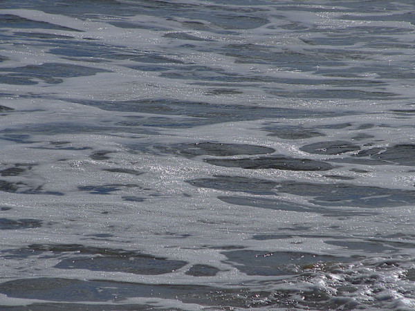 Jenkinson's Aquarium / Point Pleasant Beach Series 3 (unedited photography, limited edition of 3, displayed in a silver frame) by Michael Hanna