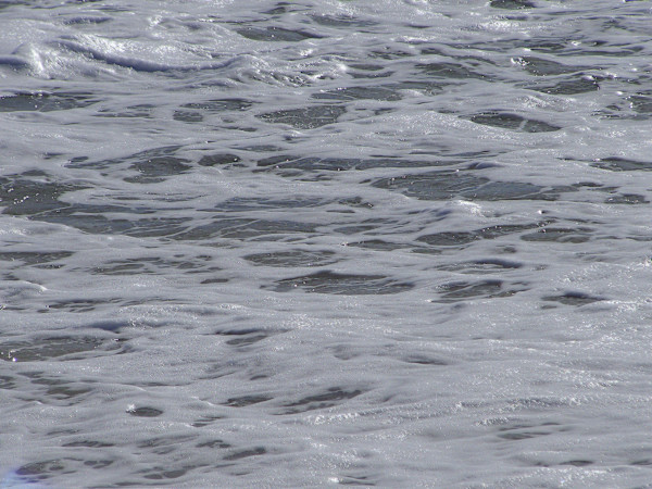 Jenkinson's Aquarium / Point Pleasant Beach Series 3 (unedited photography, limited edition of 3, displayed in a silver frame) by Michael Hanna