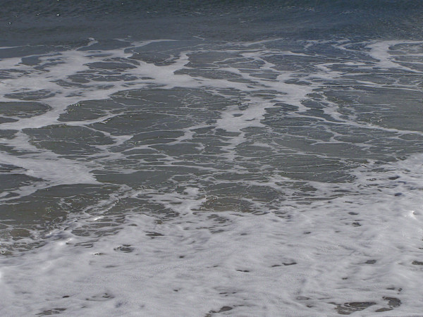 Jenkinson's Aquarium / Point Pleasant Beach Series 3 (unedited photography, limited edition of 3, displayed in a silver frame) by Michael Hanna