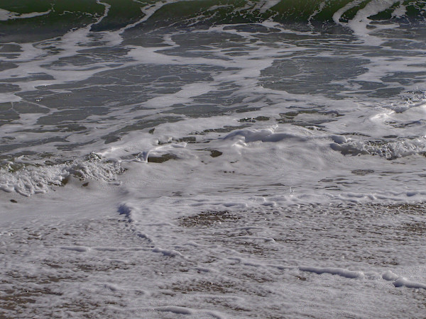 Jenkinson's Aquarium / Point Pleasant Beach Series 3 (unedited photography, limited edition of 3, displayed in a silver frame) by Michael Hanna