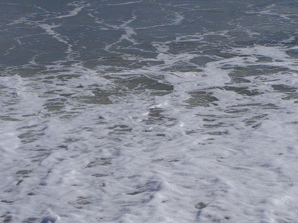 Jenkinson's Aquarium / Point Pleasant Beach Series 3 (unedited photography, limited edition of 3, displayed in a silver frame) by Michael Hanna