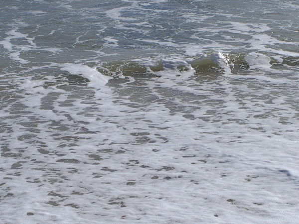 Jenkinson's Aquarium / Point Pleasant Beach Series 3 (unedited photography, limited edition of 3, displayed in a silver frame) by Michael Hanna
