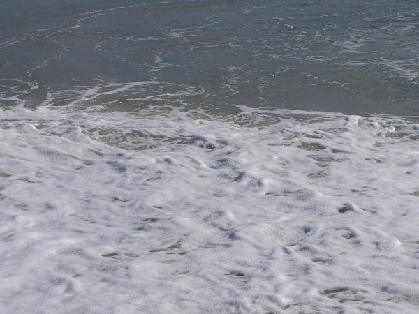 Jenkinson's Aquarium / Point Pleasant Beach Series 3 (unedited photography, limited edition of 3, displayed in a silver frame) by Michael Hanna