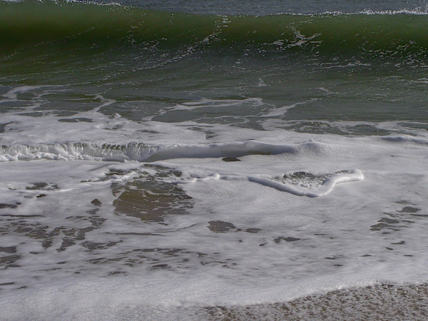 Jenkinson's Aquarium / Point Pleasant Beach Series 3 (unedited photography, limited edition of 3, displayed in a silver frame) by Michael Hanna