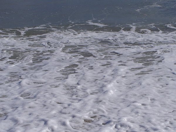 Jenkinson's Aquarium / Point Pleasant Beach Series 3 (unedited photography, limited edition of 3, displayed in a silver frame) by Michael Hanna